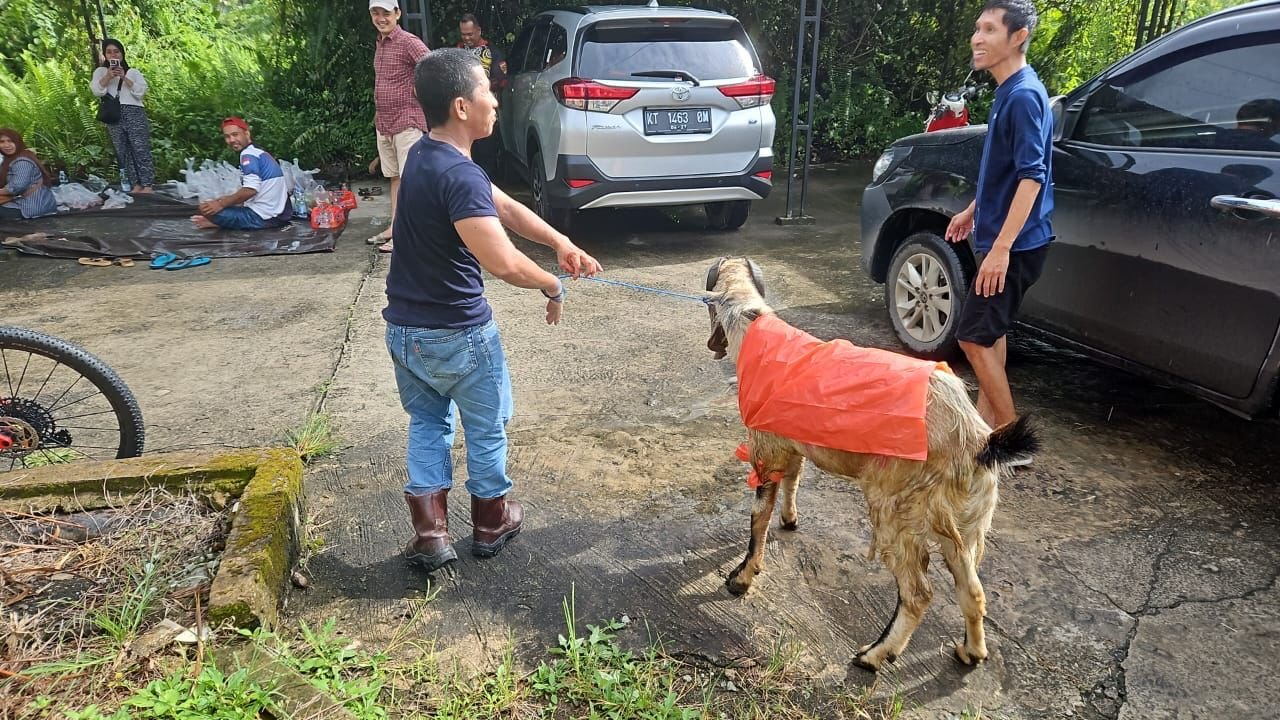 Pemotongan Hewan Kurban